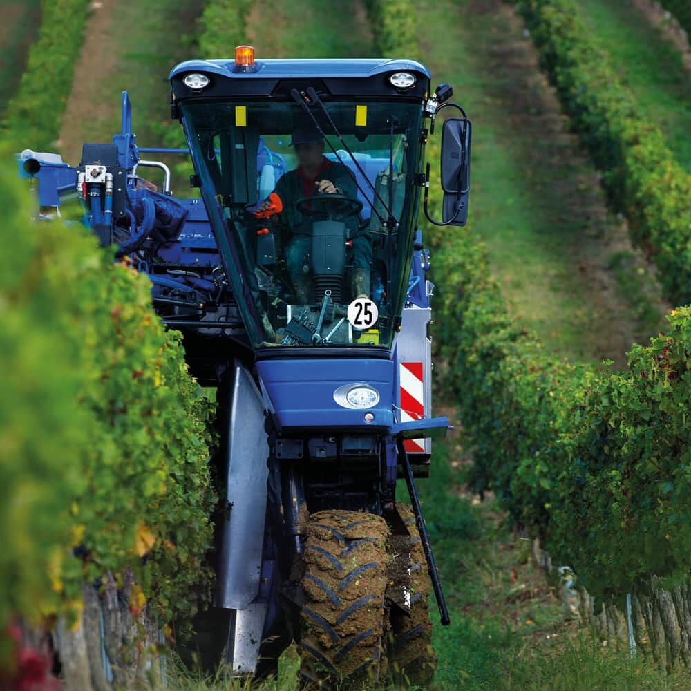 Weinlesemaschine bei er Lese mit 25 km/h Geschwindigkeitsschild