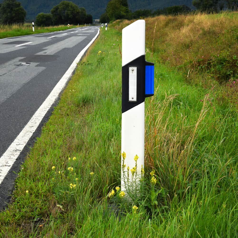 Wildwarner am Straßenleitpfosten, Tageslichtmontage