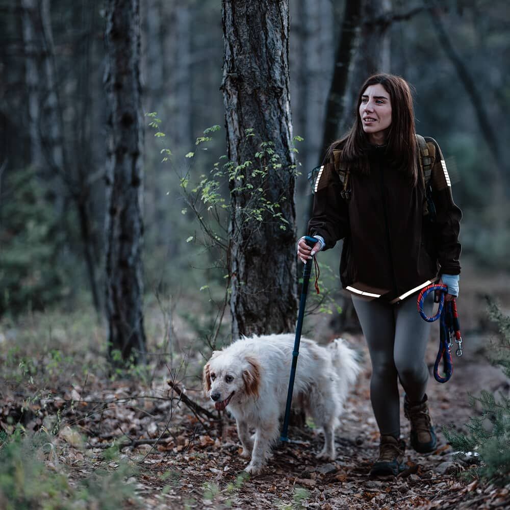 Wanderin mit Hund, reflektierende Pfeil-Aufbügler leuchten an Jacke und Saum im Wald.