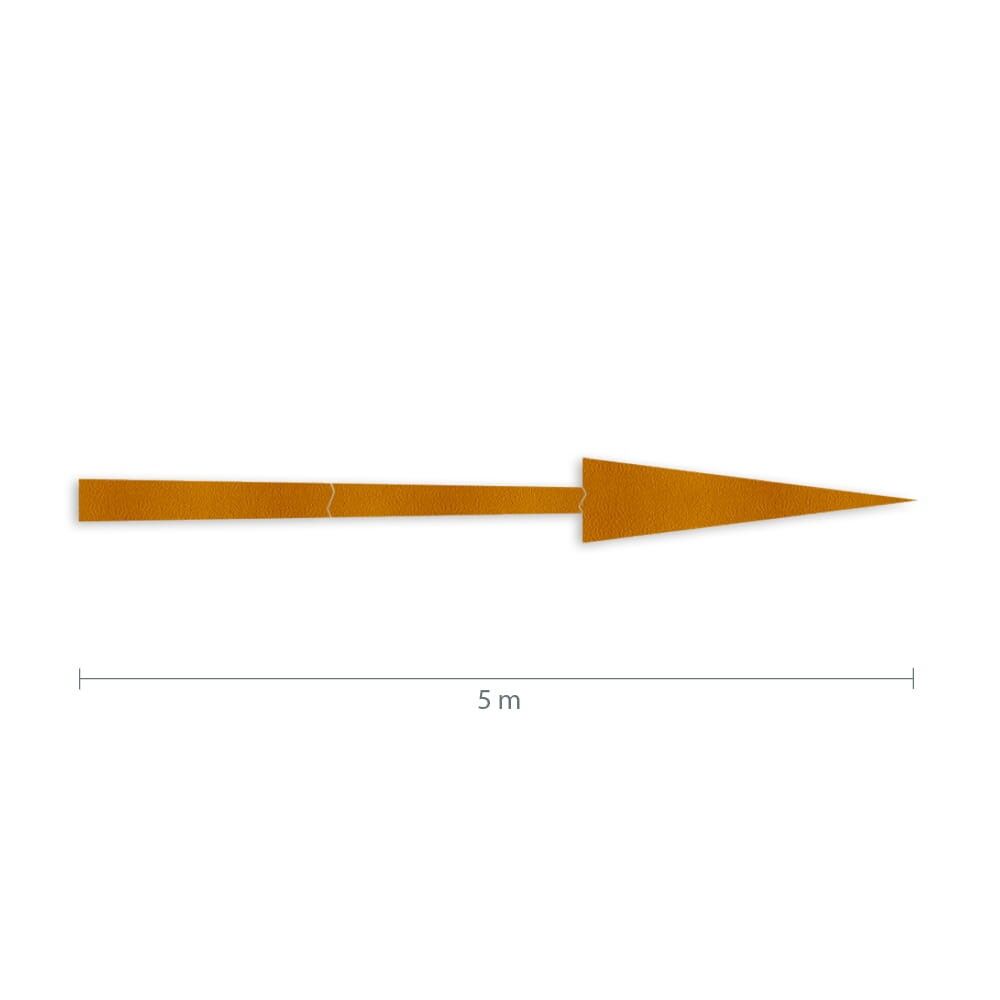 Maßgrafik des Pfeils: Länge 5 m, Verkehrsklasse P6 in gelb