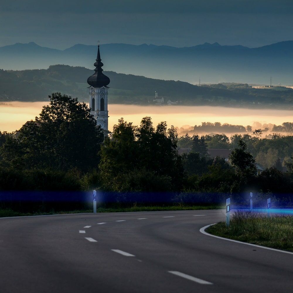 Straßenkurve bei Dämmerung, blaue Wildwarnreflektoren aktiv